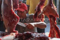 Presiden transfer dana sapi meugang untuk Aceh Rp72 miliar, ini daerah penerima