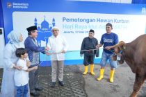 Semangat berbagi dalam rangka Idul Adha, BRI Group distribusikan lebih dari 5000 hewan kurban