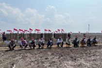 Perkuat Sinergi untuk Pesisir: M4CR dan Polda Riau Tanam Mangrove di Kuala Selat