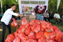 Pemko Banda Aceh sediakan 2.000 paket pangan murah bersubsidi