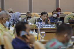 Pansus Bersama Pemerintah Setuju RUU IKN Dibawa Dalam Rapat Paripurna DPR thumbnail