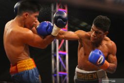 Petinju asal Maluku Ongen Saknosiwi hanya butuh empat ronde kanvaskan petinju Thailand, langsung TKO