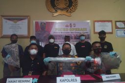 Polisi tahan pelaku penganiayaan di Kedaton Kesultanan Ternate