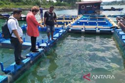 BRIN bantu pembudidaya ikan pemula di Kota Ambon, dukung modal usaha