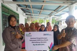 PLN bantu UMKM kripik buah naga di Maluku Tengah, patut diapresiasi