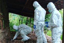 Indonesia probes suspected anthrax case in Yogyakarta