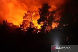 Indonesian migrant worker praised for Korea rescue