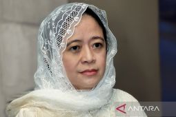 Take steps to ensure exchange rate stability: DPR to govt 