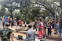 Tree collapse at Eid prayer in Indonesia kills three, injures dozen