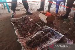 WWII grenades found by eruption survivors in Indonesia's NTT