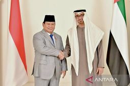 Indonesia, UAE announce eight cooperation pacts in Abu Dhabi