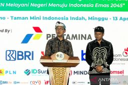 Danantara to strengthen Indonesia’s SOEs, economic vision: official