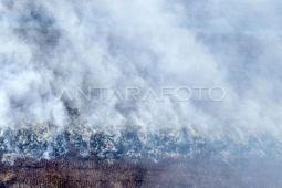 Karhutla di Muaro Jambi