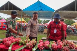Kontes buah naga di Banyuwangi