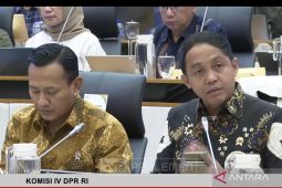 Menhut sebut deforestasi turun di 3 provinsi terdampak banjir Sumatera