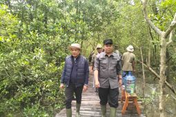 ANTARA JAMBI TANAM MANGROVE MEMENTUM HUT KE-88
