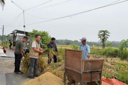 Bulog Yogyakarta menyerap gabah petani di Bantul