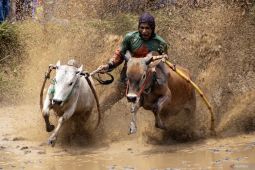 Tanah Datar siapkan agenda wisata untuk bangkit pascabencana banjir