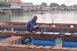 IPB kembangkan sea farming berbasis adat di Wakatobi