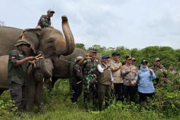 Way Kambas National Park pilot for innovative climate financing