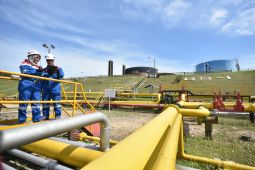 Pertamina strikes new oil flow at offshore northern West Java well