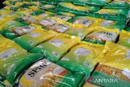 Indonesia sees rice output stable despite El Nino risk