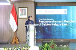 Gov't drafts gender mainstreaming guideline in palm oil sector