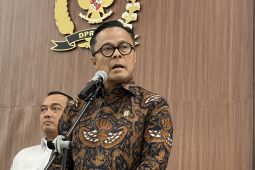 DSI not export broker, only provides service fees: Danantara