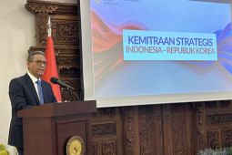 Energy, AI anchor Indonesia-South Korea relations: envoy