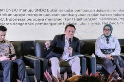 Indonesia urges stronger Asia-Pacific climate action at UNESCAP