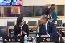 Indonesia backs information integrity, journalist protection