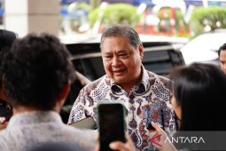 Various Indonesian business sectors continue to expand: Airlangga