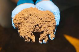 Lampung exports 14 thousand Palm Kernel Expeller to New Zealand