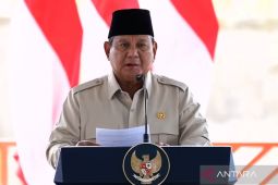 Prabowo highlights food surpluses as milestone toward self-sufficiency