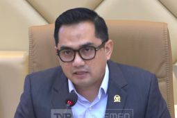Komisi II: Gubernur bakal kepalai BRAN di tingkat provinsi