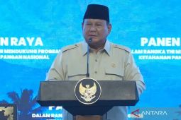 Prabowo targets up to 50 ethanol plants to support E20 fuel program