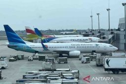 Indonesia plans Garuda-Pelita merger to strengthen national airline