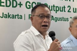Indonesia Bets Big on Rare Earth Magnets by 2028 to Break Supply Chain Dependence