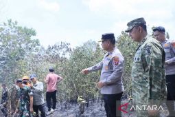 Indonesian military leads ecosystem restoration after Kalimantan fires