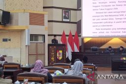 Bupati Jember siapkan lima strategi tutup defisit P-APBD 2026
