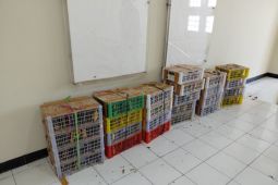 Kemenhut gagalkan perdagangan 190 burung liar di kawasan pelabuhan Surabaya
