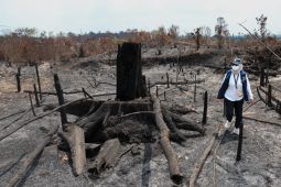 Menjaga Bukit Soeharto tetap  bernapas