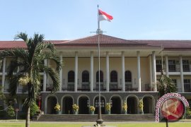 UGM kembangkan umbi lokal sebagai alternatif prebiotik