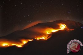 185 personel padamkan api Gunung Merbabu