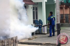 Dinkes Tanah Bumbu imbau warga waspada DBD