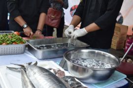 Ajak anak gemar makan ikan