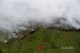 Kebakaran Lahan Di Muara Medak Masih Menyala Page 2 Small