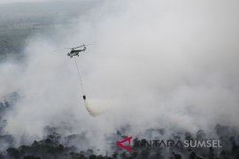 Kebakaran Lahan Di Muara Medak Masih Menyala Page 3 Small