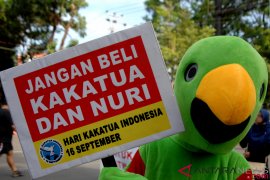 63 Burung Nuri Merah diamankan