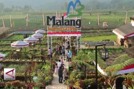 Sinergi Tiga Institusi dongkrak potensi tiga daerah